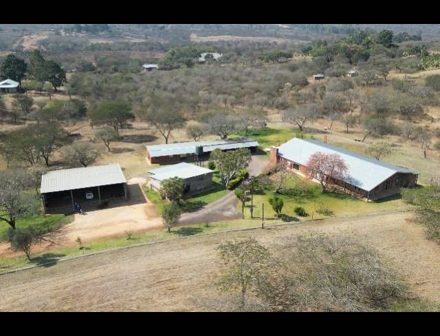 FARM FOR SALE IN LOUIS TRICHARDT
